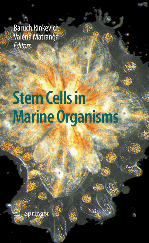 Book cover of Stem Cells in Marine Organisms