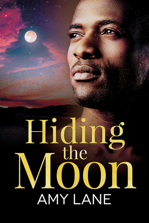 Book cover of Hiding the Moon (Fish Out of Water #4)