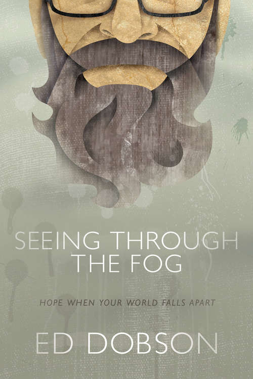 Book cover of Seeing through the Fog
