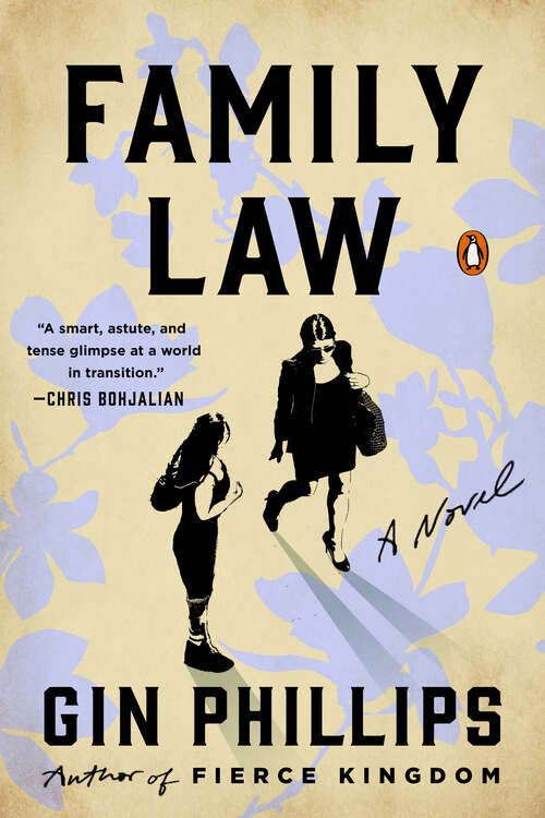 Book cover of Family Law: A Novel