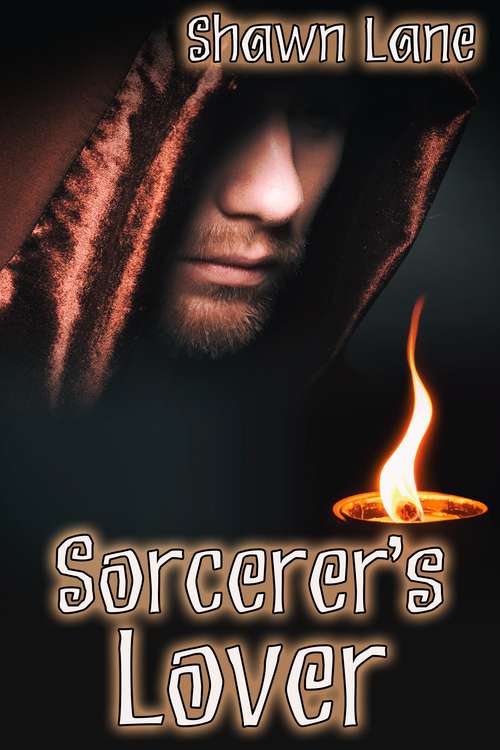Book cover of Sorcerer's Lover