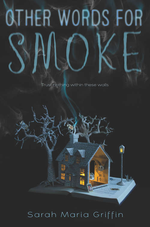 Book cover of Other Words for Smoke