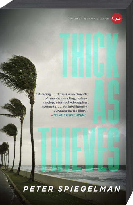 Book cover of Thick as Thieves