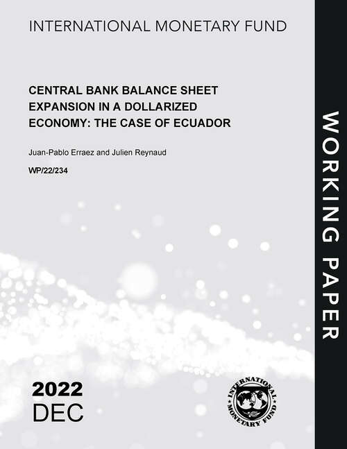 Book cover of Central Bank Balance Sheet Expansion in a Dollarized Economy: The Case of Ecuador (Imf Working Papers)