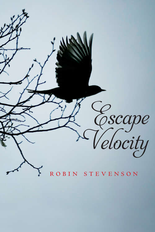 Book cover of Escape Velocity