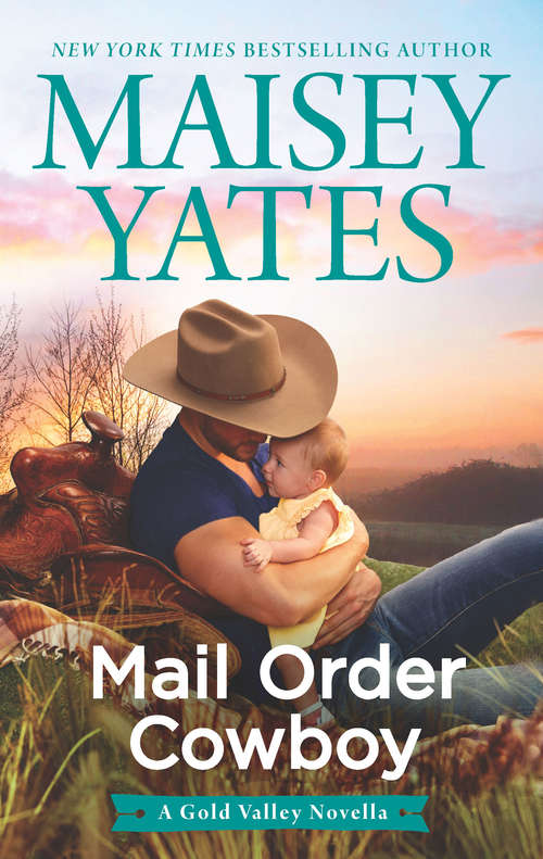 Book cover of Mail Order Cowboy