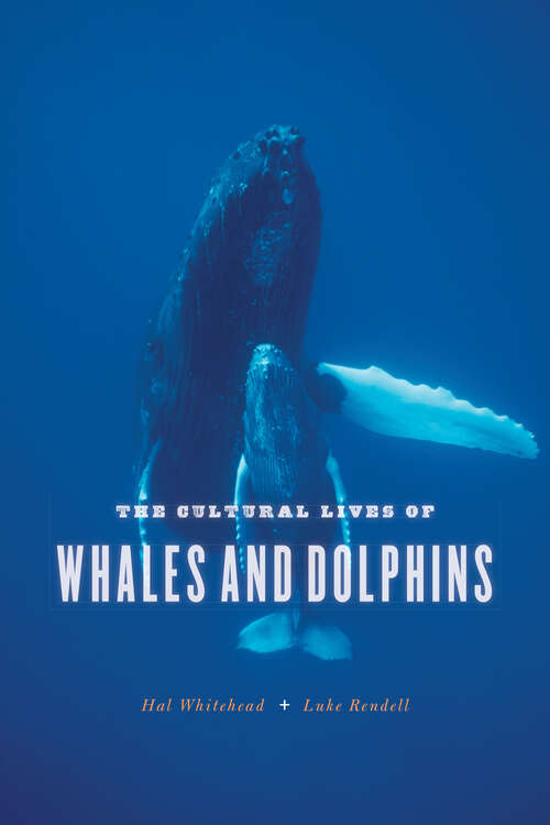Book cover of The Cultural Lives of Whales and Dolphins