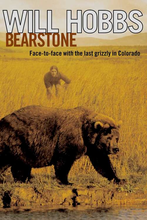 Book cover of Bearstone