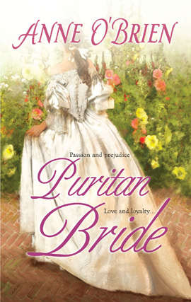 Book cover of Puritan Bride