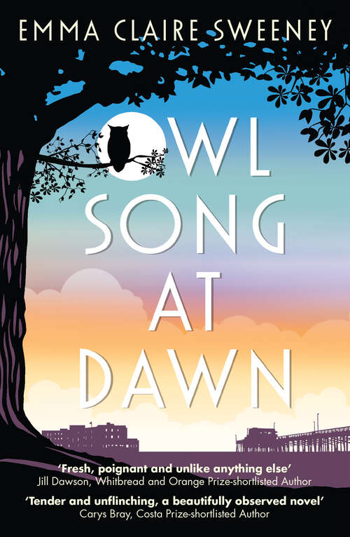 Book cover of Owl Song at Dawn