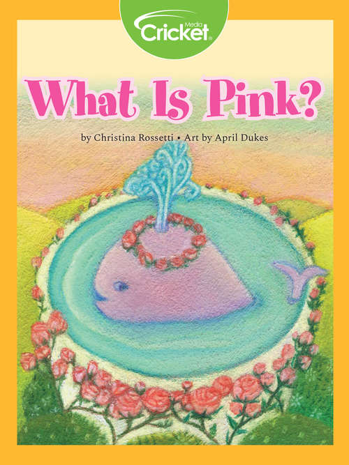Book cover of What Is Pink?