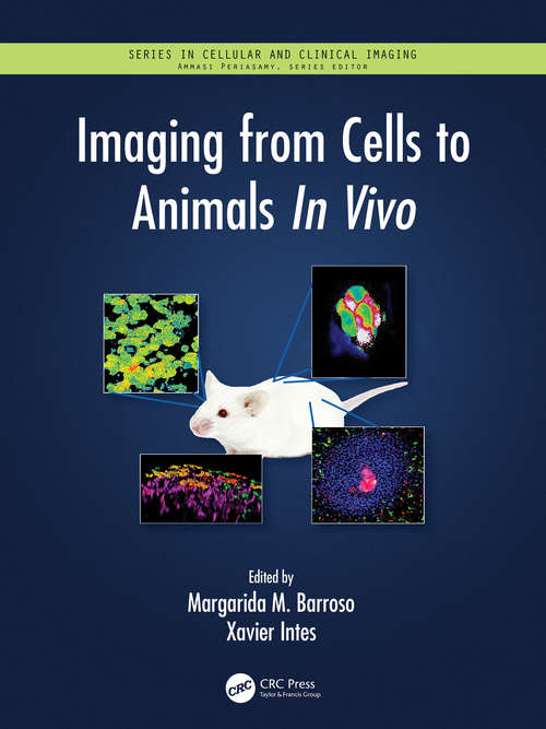 Book cover of Imaging from Cells to Animals In Vivo (Series in Cellular and Clinical Imaging)