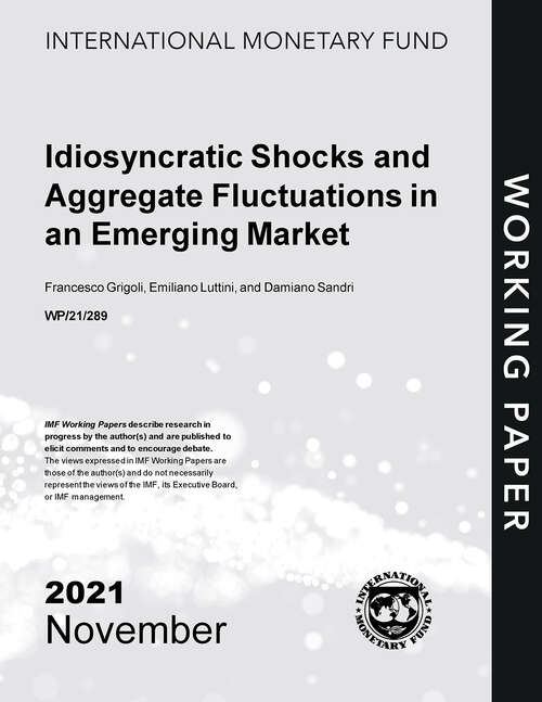 Idiosyncratic Shocks and Aggregate Fluctuations in an Emerging Market (Imf Working Papers)
