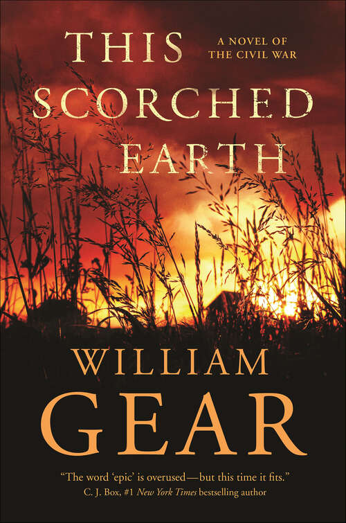 Book cover of This Scorched Earth: A Novel of the Civil War