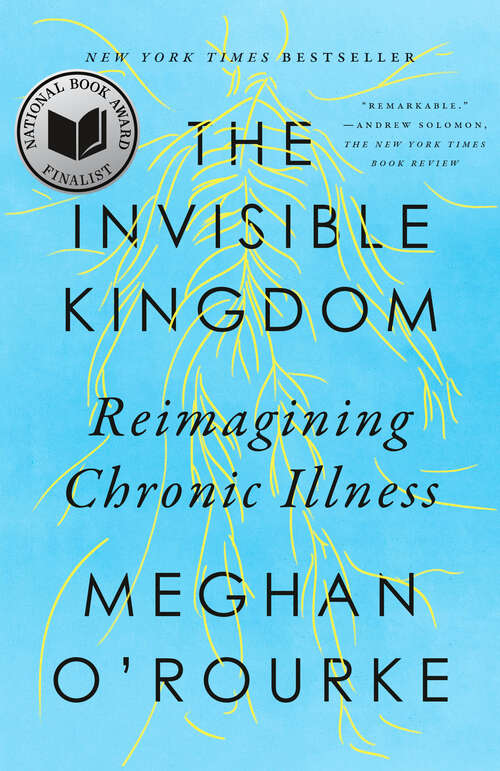 Book cover of The Invisible Kingdom: Reimagining Chronic Illness