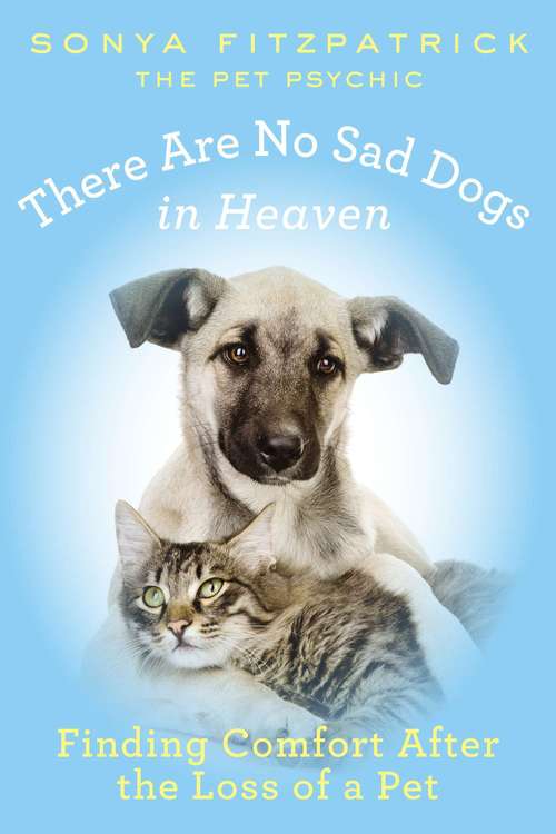 Book cover of There Are No Sad Dogs in Heaven