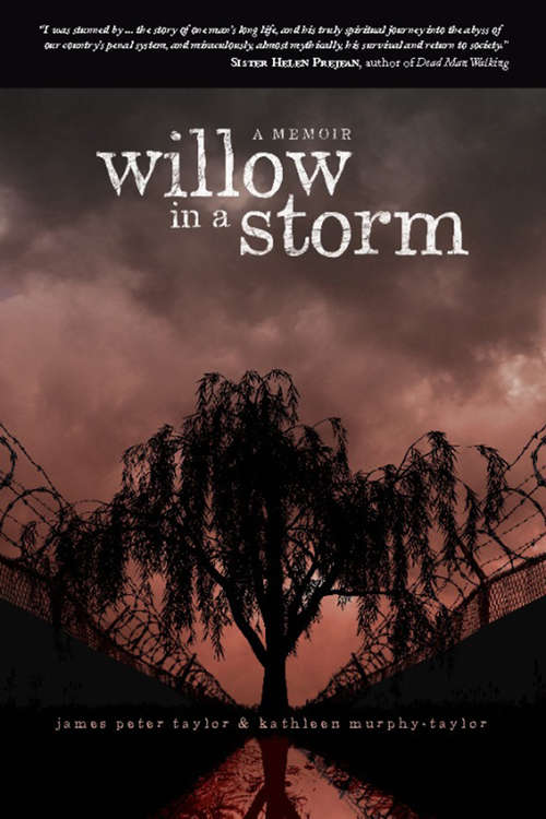 Willow in a Storm