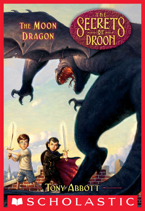 Book cover of The Moon Dragon (Secrets of Droon #26)
