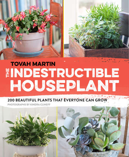 Book cover of The Indestructible Houseplant: 200 Beautiful Plants that Everyone Can Grow