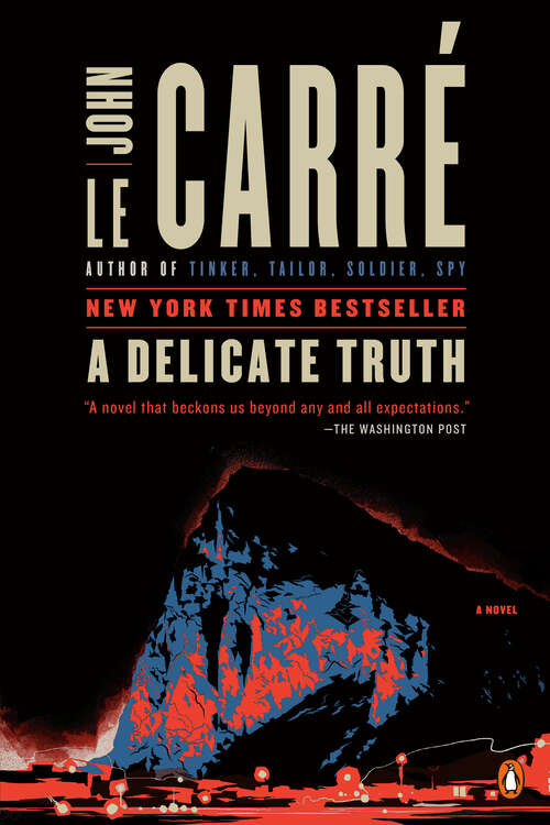 Book cover of A Delicate Truth: A Novel
