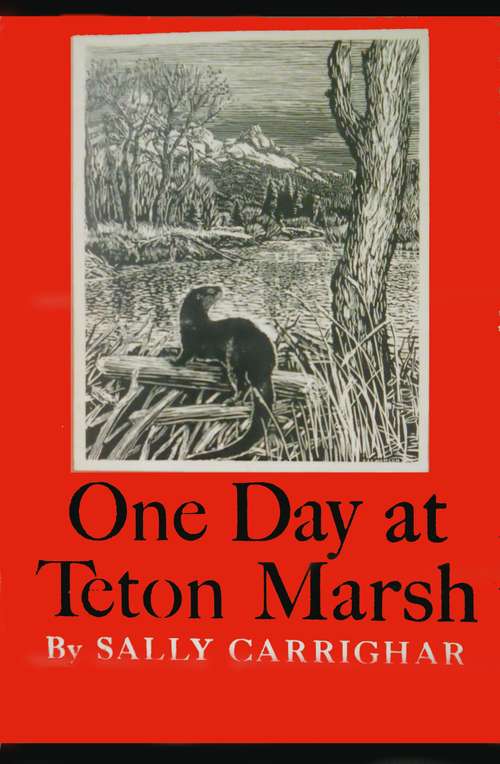 Book cover of One Day at Teton Marsh