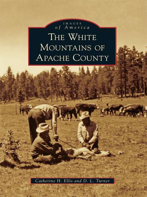 White Mountains of Apache County, The