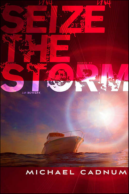 Book cover of Seize the Storm