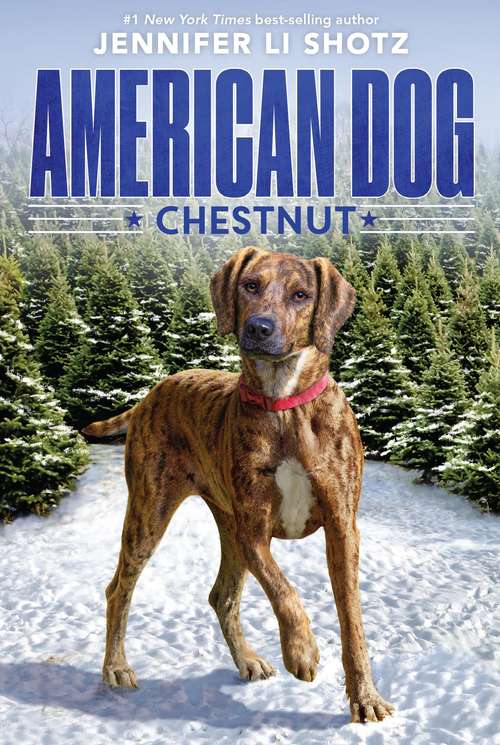 Book cover of Chestnut (American Dog)