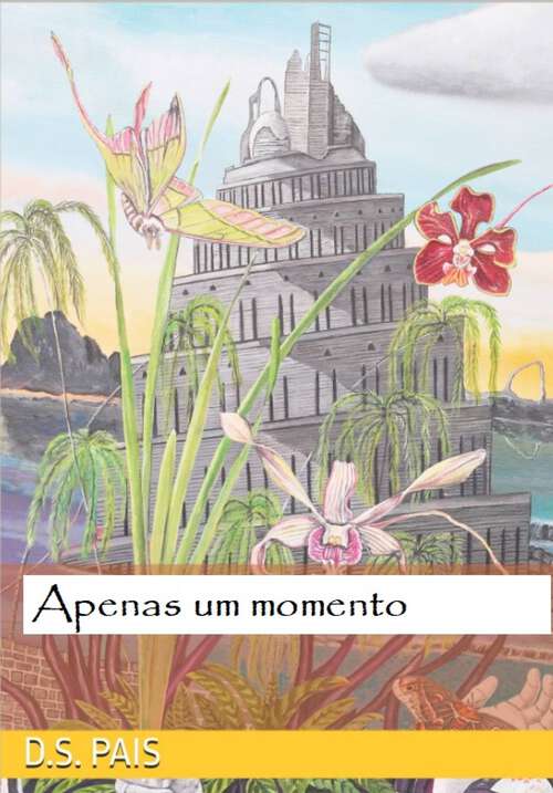 Book cover of Apenas um momento