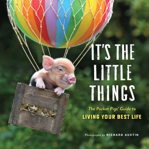Book cover of It's the Little Things: The Pocket Pigs' Guide to Living Your Best Life