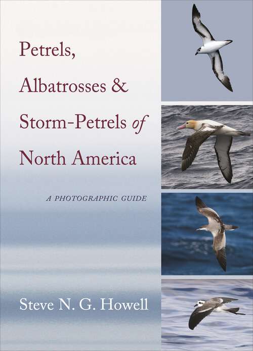 Book cover of Petrels, Albatrosses, and Storm-Petrels of North America: A Photographic Guide