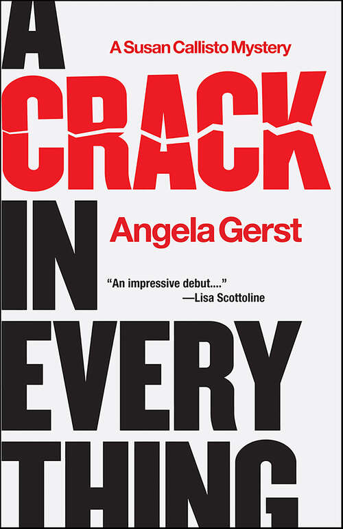 Book cover of A Crack in Everything