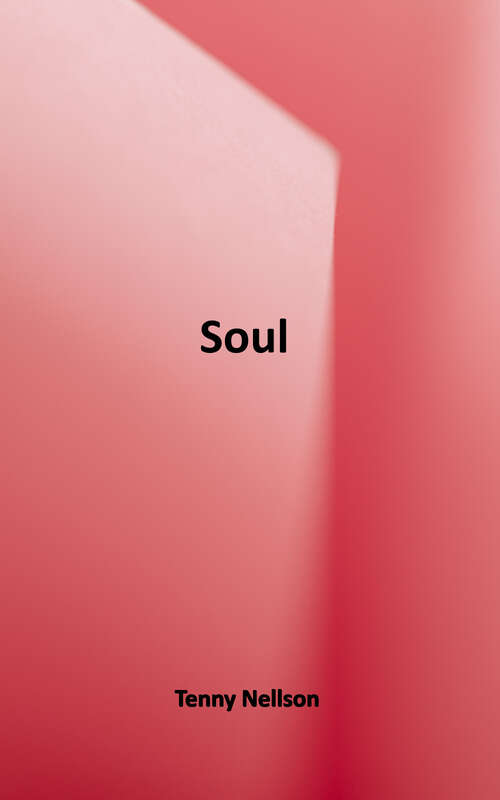 Book cover of Soul: The Junior Novelization