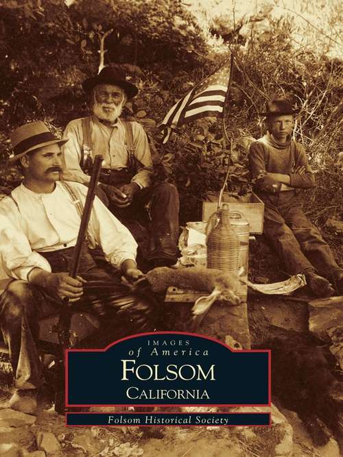Book cover of Folsom