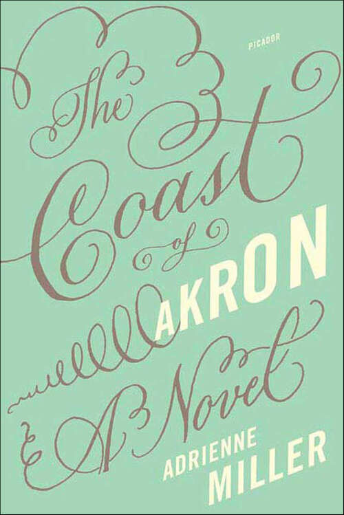 Book cover of The Coast of Akron: A Novel