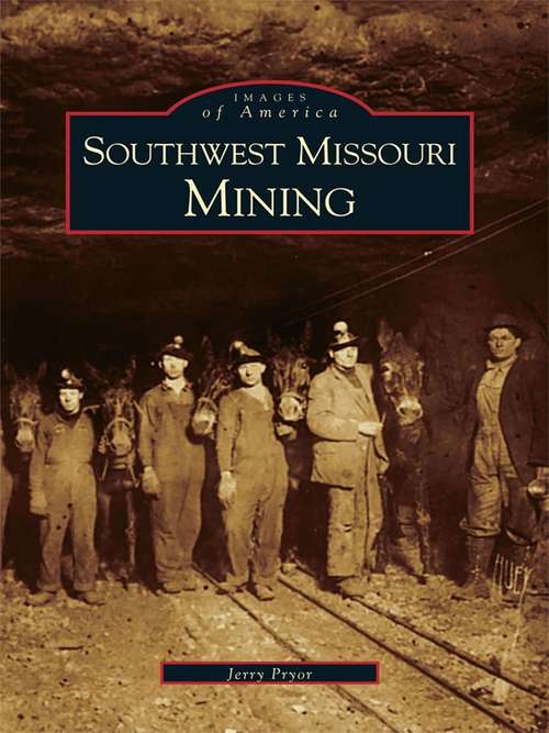 Book cover of Southwest Missouri Mining