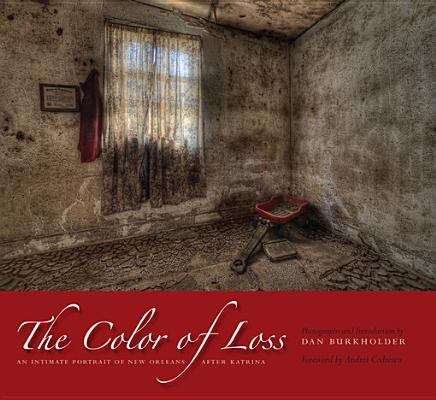 Book cover of The Color of Loss
