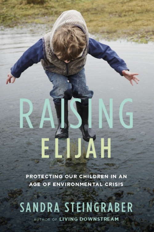 Book cover of Raising Elijah: Protecting Our Children in an Age of Environmental Crisis: Protecting Our Children In An Age Of Environmental Crisis (A\merloyd Lawrence Book Ser.)