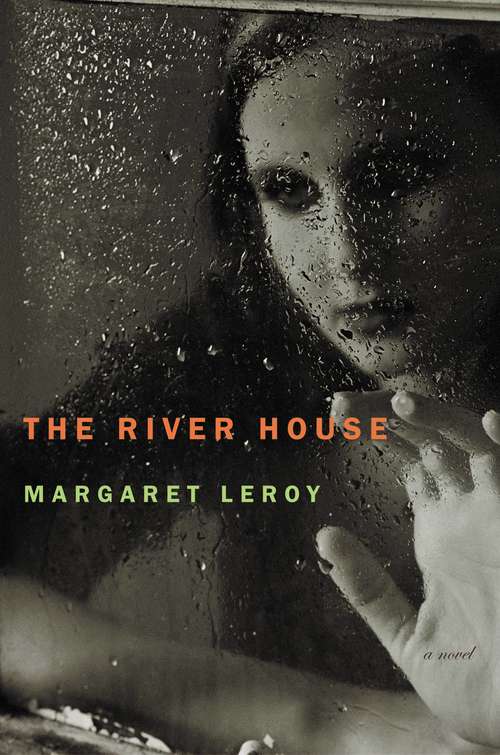 Book cover of The River House