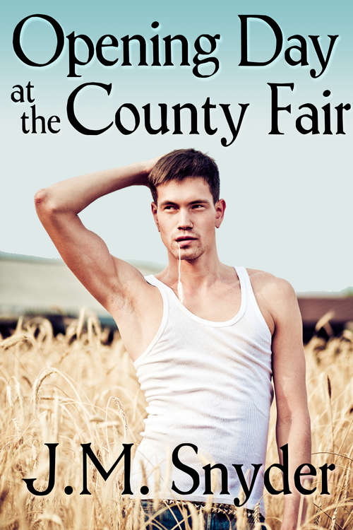 Book cover of Opening Day at the County Fair