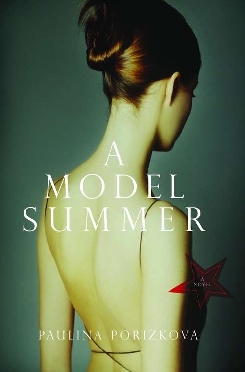 Book cover of A Model Summer
