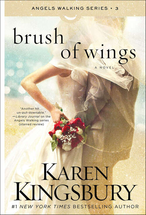 Book cover of Brush of Wings: A Novel