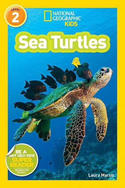 Sea Turtles (National Geographic Kids Readers #Level 2)