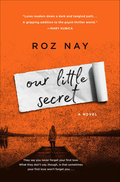 Book cover of Our Little Secret: A Novel