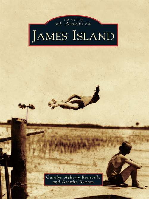 Book cover of James Island (Images of America)