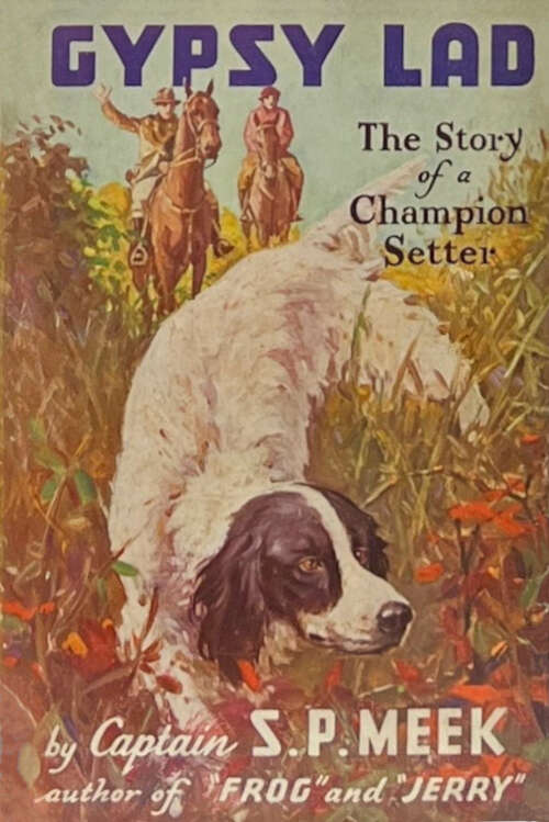 Book cover of Gypsy Lad: The Story of a Champion Setter