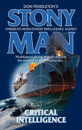 Book cover of Critical Intelligence