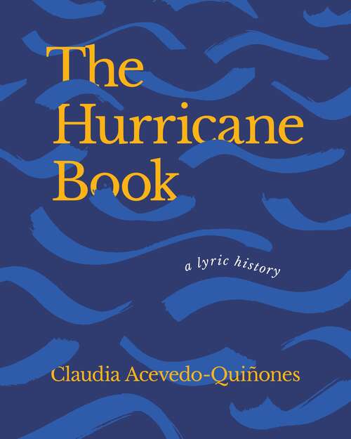 Book cover of The Hurricane Book