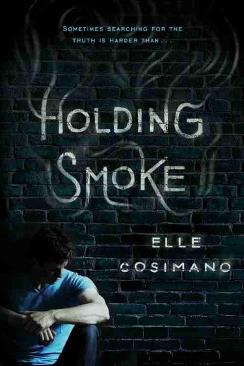 Book cover of Holding Smoke