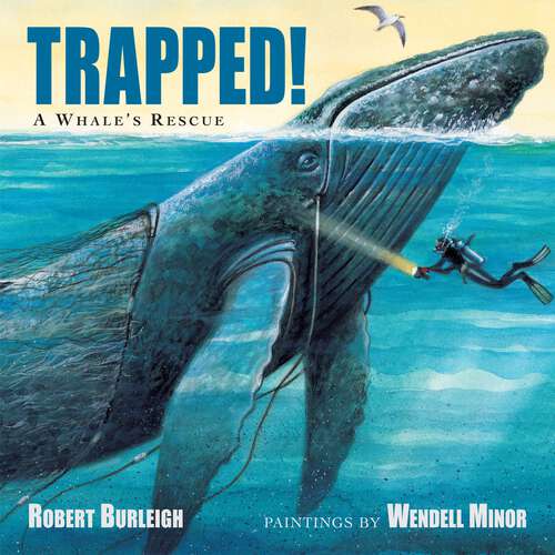 Book cover of Trapped! A Whale's Rescue: A Whale's Rescue (Live Oak Media Ereadalong Ser.)
